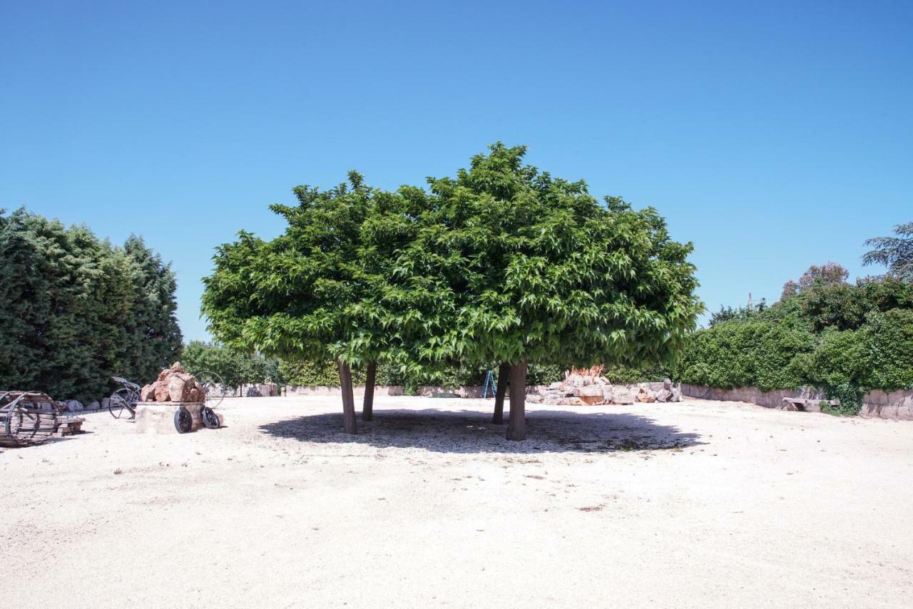 Masseria Guadiano Vecchio Santa Lucia  Exteriér fotografie
