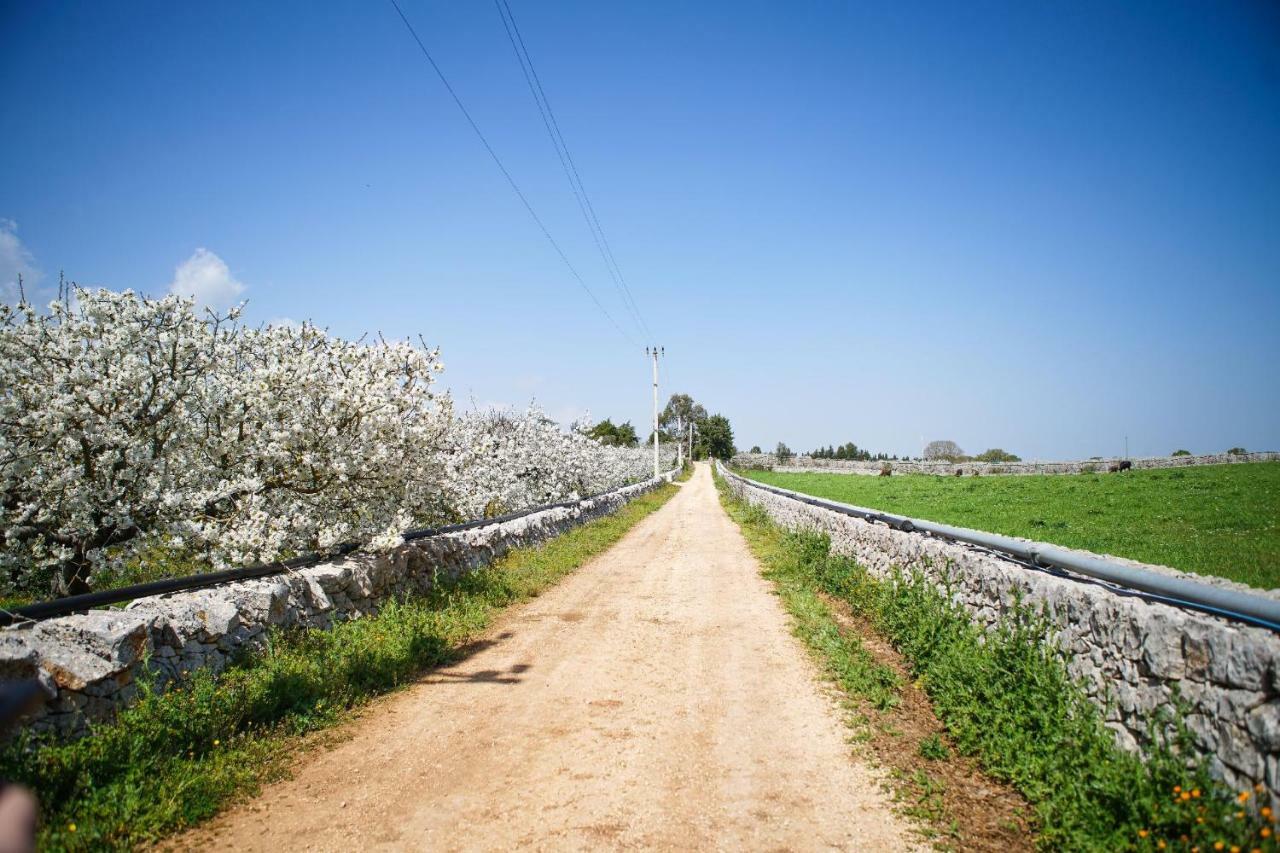 Masseria Guadiano Vecchio Santa Lucia  Exteriér fotografie