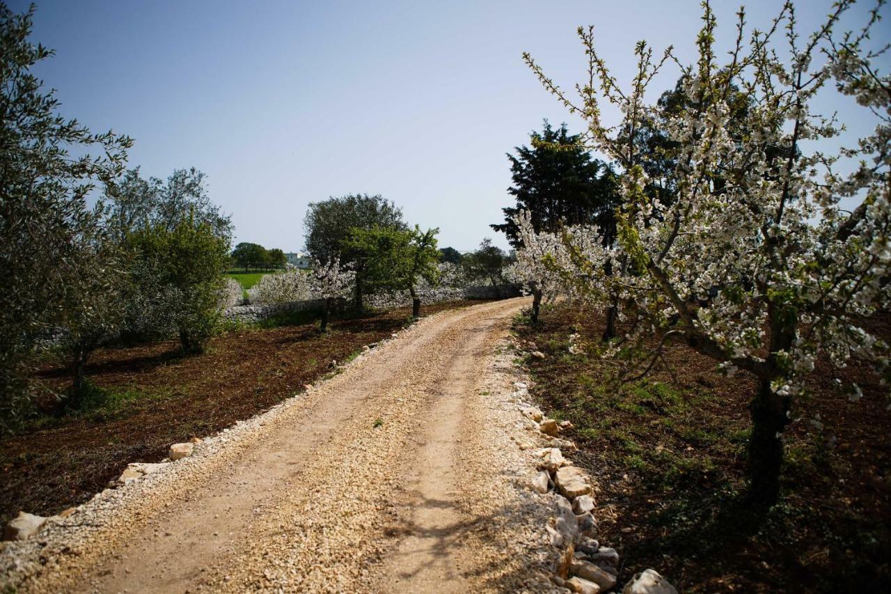 Masseria Guadiano Vecchio Santa Lucia  Exteriér fotografie